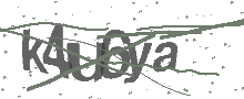 Captcha Bild