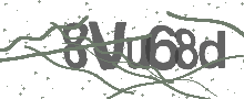 Captcha Bild