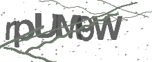 Captcha Bild