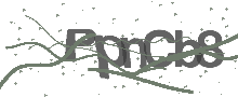 Captcha Bild