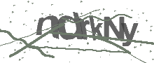Captcha Bild