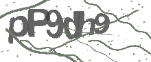 Captcha Bild
