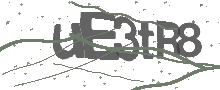 Captcha Bild