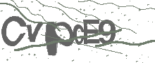 Captcha Bild