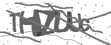 Captcha Bild