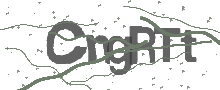 Captcha Bild
