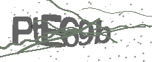 Captcha Bild