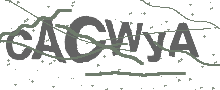 Captcha Bild