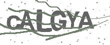 Captcha Bild