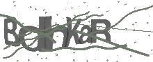 Captcha Bild