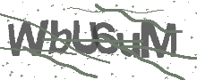 Captcha Bild