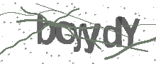 Captcha Bild
