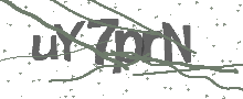 Captcha Bild