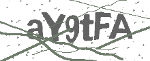 Captcha Bild