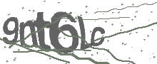 Captcha Bild