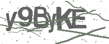 Captcha Bild