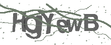 Captcha Bild