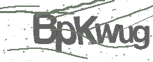 Captcha Bild