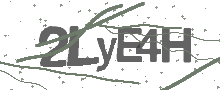 Captcha Bild