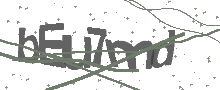 Captcha Bild