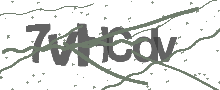 Captcha Bild