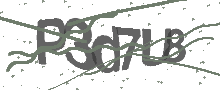 Captcha Bild