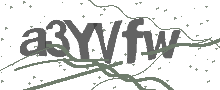 Captcha Bild
