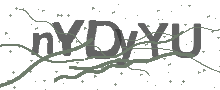 Captcha Bild