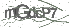 Captcha Bild