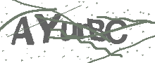 Captcha Bild