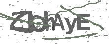 Captcha Bild