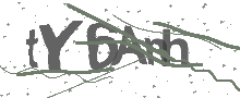 Captcha Bild