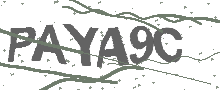 Captcha Bild