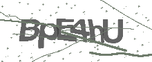 Captcha Bild