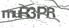 Captcha Bild