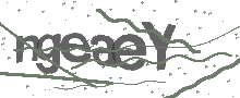 Captcha Bild