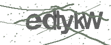 Captcha Bild