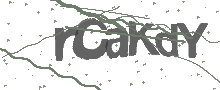 Captcha Bild