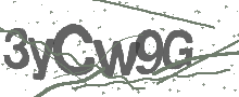 Captcha Bild