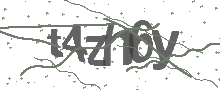 Captcha Bild