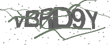 Captcha Bild