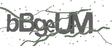 Captcha Bild