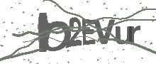 Captcha Bild
