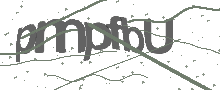 Captcha Bild