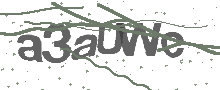 Captcha Bild