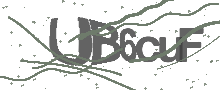 Captcha Bild