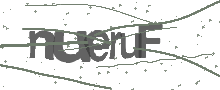 Captcha Bild