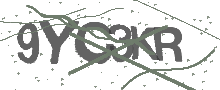 Captcha Bild