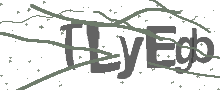 Captcha Bild
