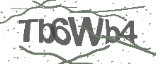 Captcha Bild